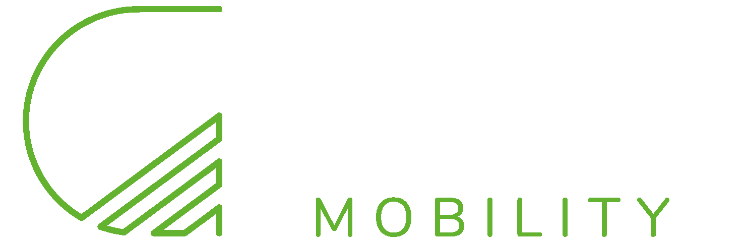 GDV Logo